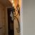 Beautiful Sconces (two units, double light) 2 thumbnail