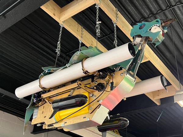 Dragon!  Remote control 1