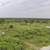 TBD FM 1696 ~ Land for Sale in Iola, TX 4 thumbnail