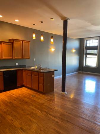 $1,100 / 1br - Unique Apartment in Historic Paxton Building (Downtown)64018614801922124