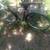 Vintage Hercules men bicycle 2 thumbnail