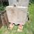1/2 Plate steel and cast steel welding table tops up to 2ft x2ft 1 thumbnail