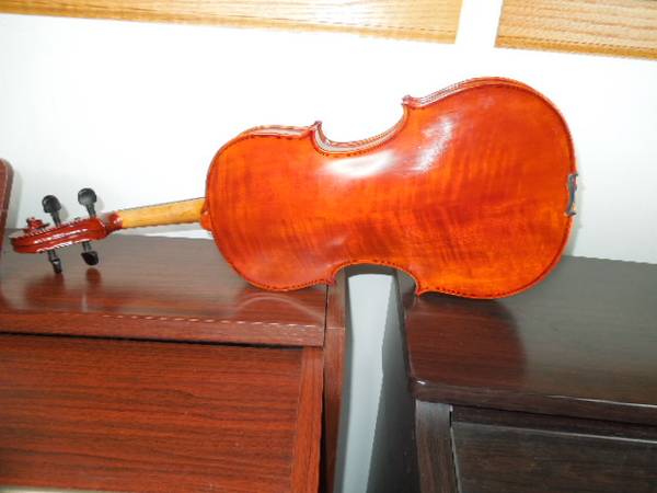 3 16 in violas sold separatly jackson guildan /tonclar william primros 1