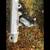 Harley Davidson 41mm Front End with Forks,Triple Clamp & Brake Caliper 7 thumbnail