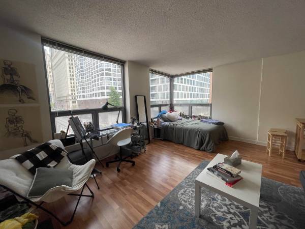 $1,750 ¡Estudio lindo en el centro! (Chicago)63898474850946120