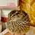 🐥 JUMBO Coturnix Quail Chicks Available 🐥 5 thumbnail