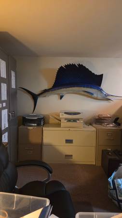 67" Sailfish Mounting Real not Replica 1