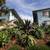 Efficiency No Full Kitchen in Venice, Plank Floors, Close to the Beach 14 thumbnail