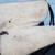 saddle seat 22 thumbnail