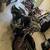 2000 Harley Davidson Road King 2 thumbnail