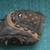 Mizuno Slider Youth Baseball Glove Model GSL 1100D. Nice. Will Ship. 2 thumbnail
