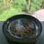 Urushi lacquer 4 thumbnail