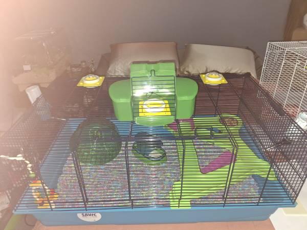 Barely used Cage$100.00 (Pensacola)63836590664067120