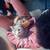 Rehoming Cat 8 thumbnail