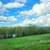 42 ACRES, SULLIVAN CO., $275K, MLS#2025​15126 1 thumbnail
