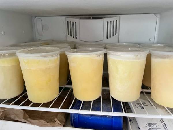 Goat colostrum - 1 quart 1