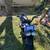 Honda Ruckus 6 thumbnail