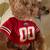 Ohio State University Plush Teddy Bear 7 inches Tall 4 thumbnail