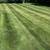 SOD/Mulch/Retaining Walls/Maintenance 1 thumbnail