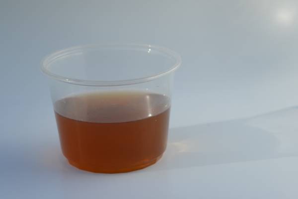 Live Vinegar Eel Starter Culture 1