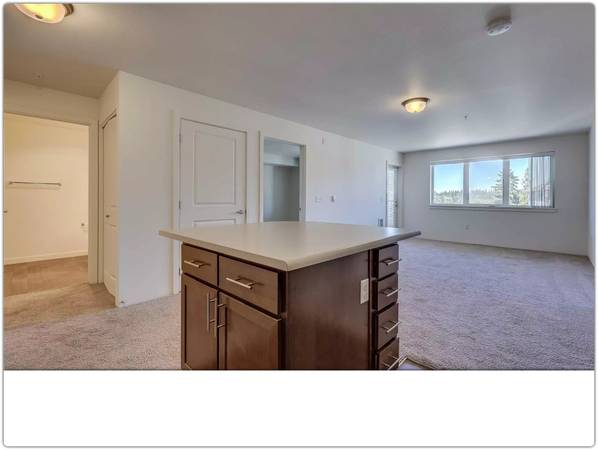 $1,450 / 1br - 535ft2 - ¡Vive la vida soñada en nuestra hermosa comunidad! Pasa a hacer un recorrido (Lynnwood - Ash Way Park and Ride)63786756272641120