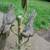 Bronze Parrots Statue 6 thumbnail