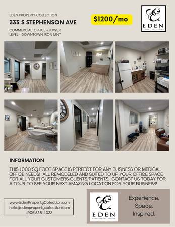 DOWNTOWN IRON MOUNTAIN OFFICE SPACE 1