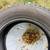Studded tires, only used two seasons 2 thumbnail