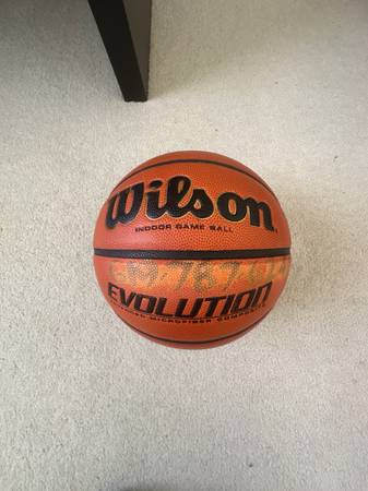 Evolution basketball 1