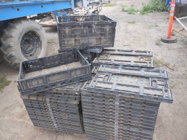 Storage bins 1