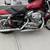 2004 Harley sportster 883 3 thumbnail