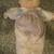 Vintage Cabbage Patch Premie Doll 3 thumbnail