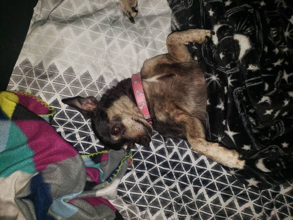 Min pin mix?64319351367426121