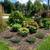 Bee Balm, Sedum, Coneflowers, Grass, Hosta, Coreopsis & more $6.97 1 thumbnail