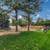 Rare Opportunity: 2 BR with Resort-Style Pool & Dog Park 5 thumbnail