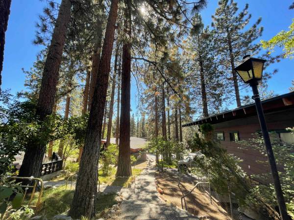 $1,850 / 1br - 450ft2 - 1br - 450ft - Dog Friendly Chalet $1,85063992636854146124