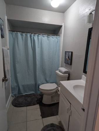 $1290.00 / 2br - 1100ft2 - Palm Shores63812532436865120