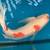 KOI, KOI, KOI, OVER 100 large healthy Koi 15” to 25” 3 thumbnail