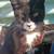 LOST CAT NORWALK 2 thumbnail