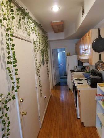 $1.350 / 2 habitaciones - Habitación hermosa en 18th St NW, a pocos minutos de DuPont Circle (18th St NW)63511702434819123