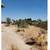 17000 sq" RES  lot in Yucca Valley 1 thumbnail
