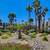 ✨ 1 Bedroom Apartments | Half-Month Security Deposit 7 thumbnail