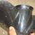 Mercury Propeller 7734A40 12 3/4" x 21 Pitch 2 thumbnail