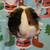 Guinea pigs 2 thumbnail