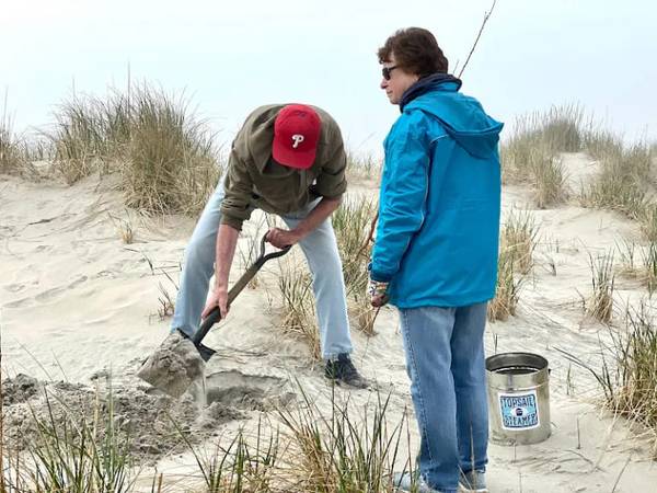 Help Plant Along Ocean Beach Dunes 1