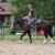 Dbl Reg. BLACK BEAUTY 2 yr old filly! 3 thumbnail