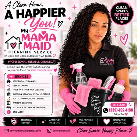Professional cleaning services 1