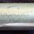 Vintage Buescher BU-1 Flute USA In Excellent Condition 6 thumbnail