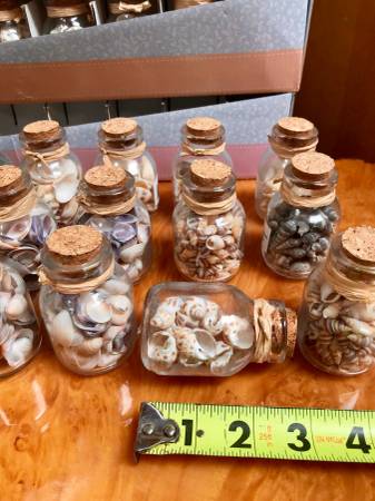 Decorative Seashell Vials 1
