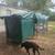 12 Laying Hens 8 thumbnail